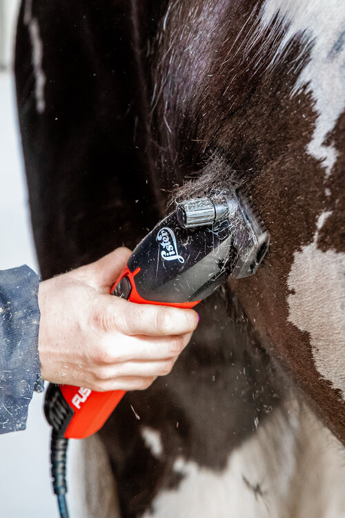 Best Horse Clipper Offers 2021 - deals, sales and reviews